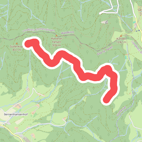 Gummenwald - Im Kandelwald