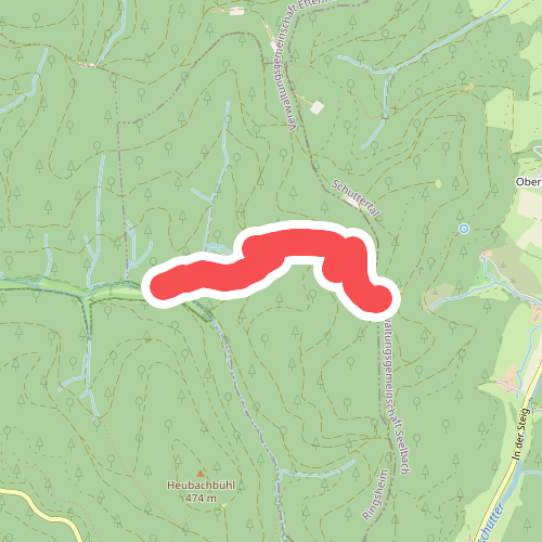 Ringsheimer Hütte - Wolfstein