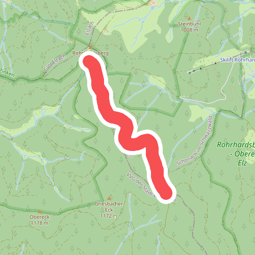 Spechttanne - Am Rohrhardsberg