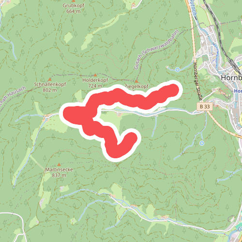 Mittlerer Storenwald - Unter der Ziegelkopfschanze