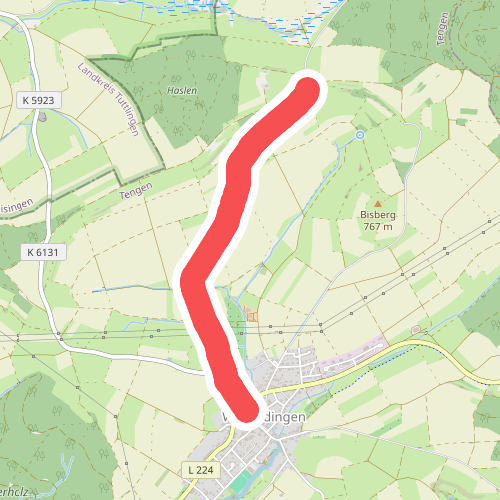 Watterdingen Dorfplatz - Haslerhof