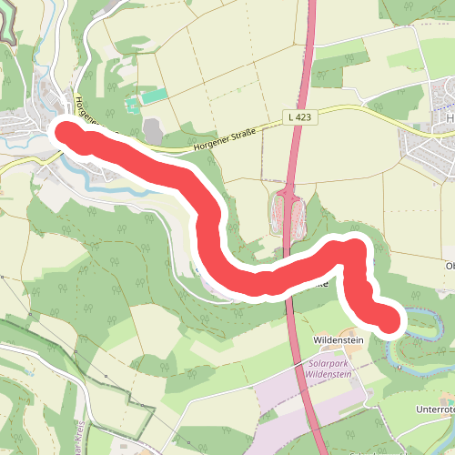 Horgen-Ruinie Wildenstein