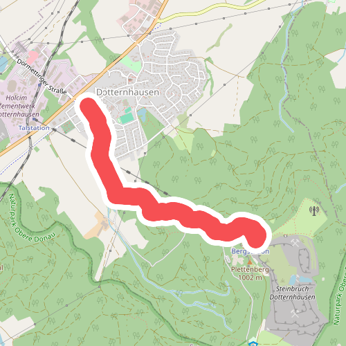 blaues Dreieck Dotternhausen - Steinbruch HW1