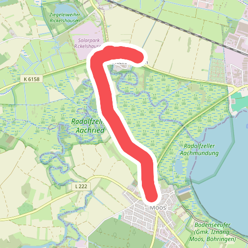 Moos Böhringer Straße - Riedwiesen