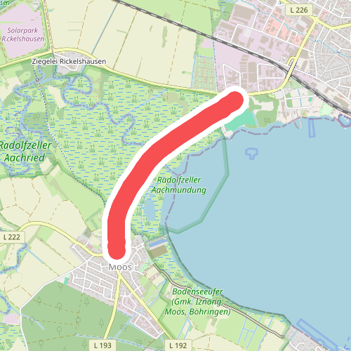 Moos Grüner Baum - Radolfzell Bodenseereiter