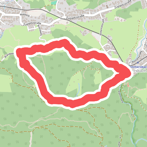 Sagenhafter Bergwald