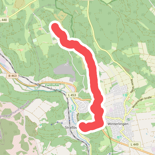 Nebenweg - Winterlingen - Weg Nr. 5 - Abzweigung von Weg Fohlenweide Bitz - Langer Wald - Stangenfelsen