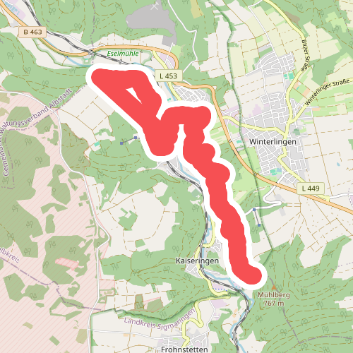 Zugangsweg - Strassberg - Weg Nr. 2 - Markungsgrenze Braunhalde - Strassberg - Schloßwald - Gaugrenze Richtung Storzingen
