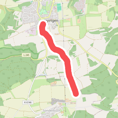 rote Raute Hayingen - Sonderbuch