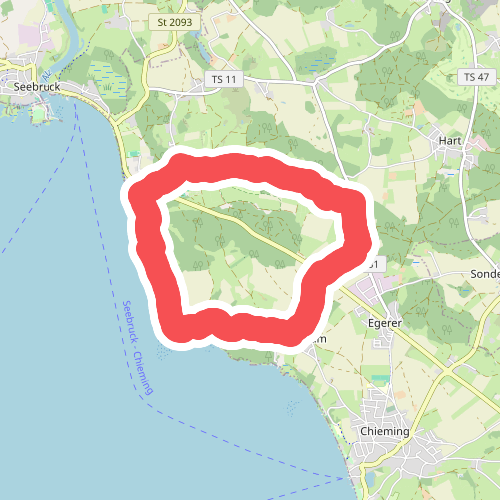 Nordic Walking Ising