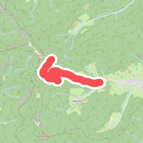 Fußbach Hintertal - Oberer Waldmattengrund