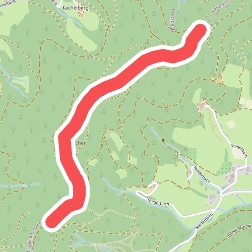 Am Steingrabenkopf - Sauhalde