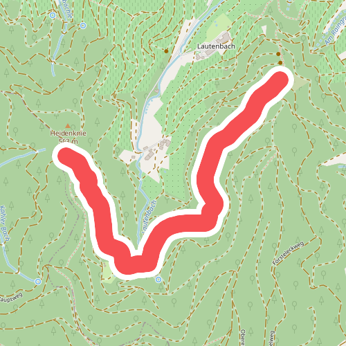 Heidenkniesattel - Farrenhalde
