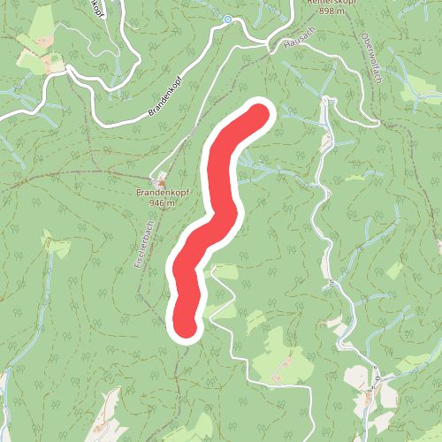 Am Ballenkopf - Am Steigleskopf