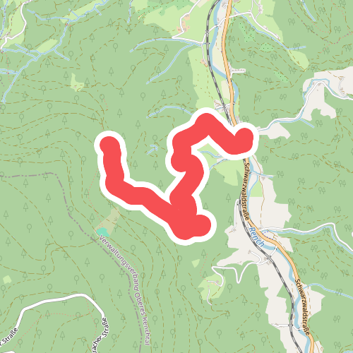 Ibach Jägerhaus - Umsetzer