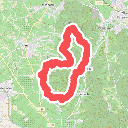 Ortenauer Weinschleife - Haslach-Tiergarten