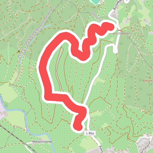 Ballenhütte - Eichwald