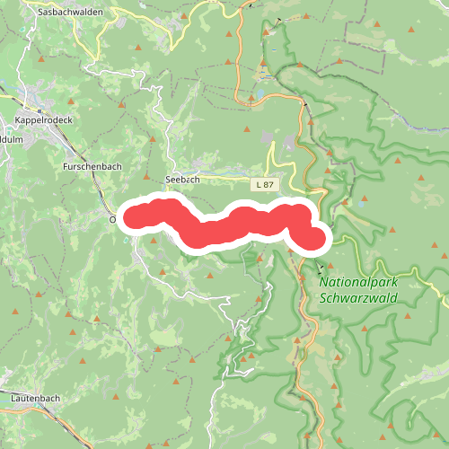 Ottenhöfen - Ruhestein