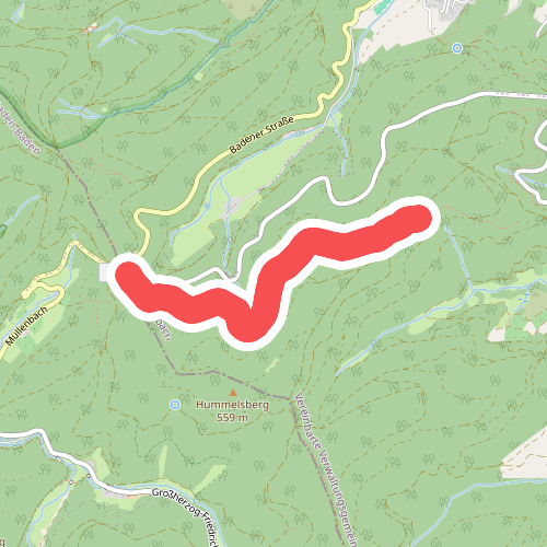 Müllenbild (Nachtigall) - Saulachkopfhütte