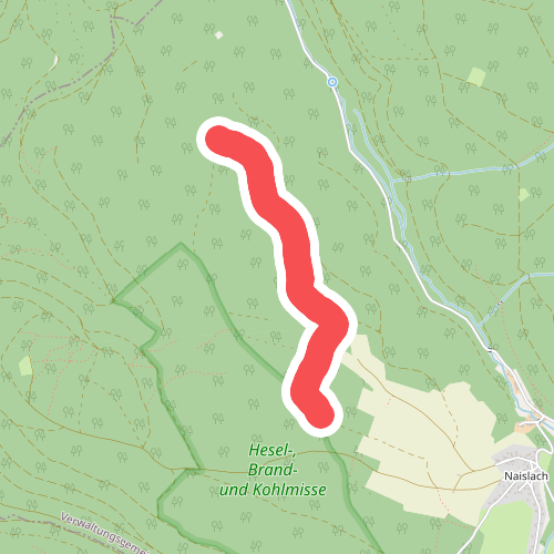 Zimmerbuckel - Brandmiss