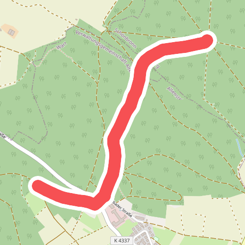 Buhlerwaldstern - Hölzle