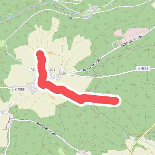 Buhlerwaldstern - Martinsmoos