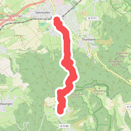 Bisingen - Streichen