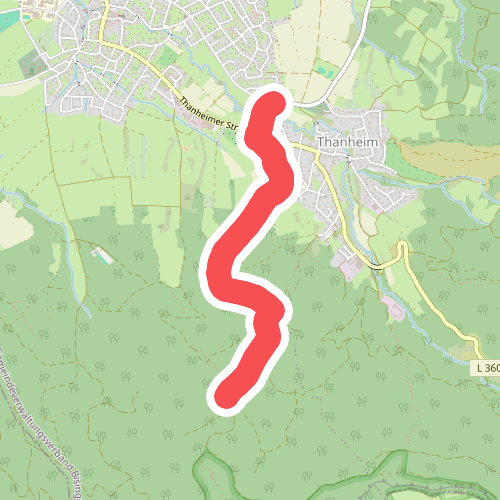 blaue Raute Thanheim - Sommersteig