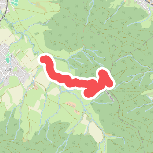 blaues Raute Linde bei Boll - Jungingen