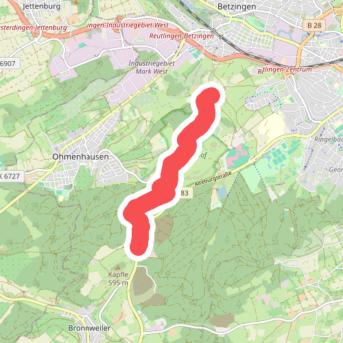 blaue Raute Naturschutzgebiet Listhof - Alteburger Hof