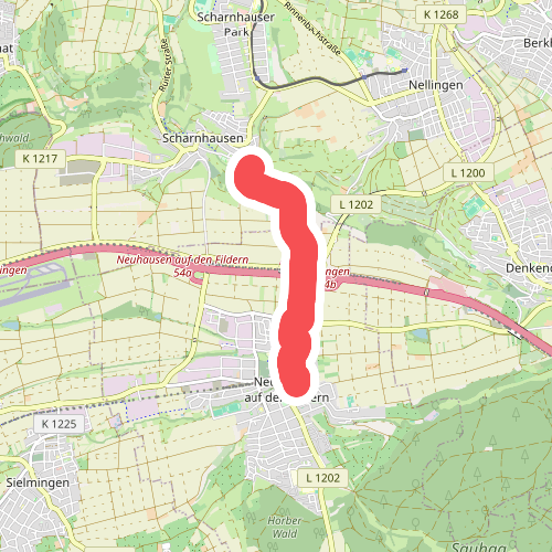 Eichwiesen - Neuhausen