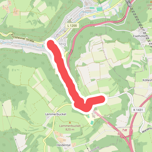 Wiesensteig - Lämmerbuckel
