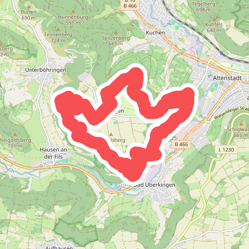 Löwenpfade: Felsenrunde