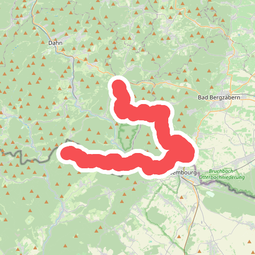 Pfälzerwald Gelber Punkt #4