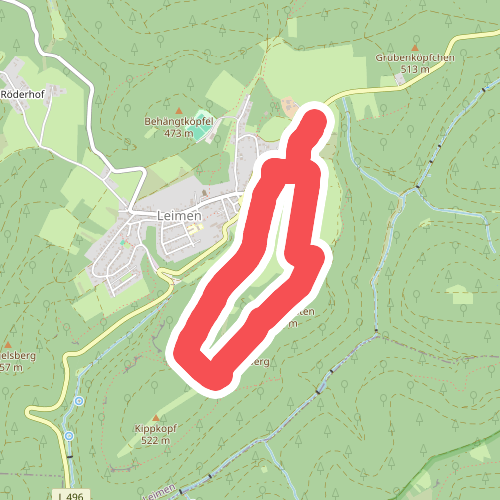 Nordic Walking Leimen 1