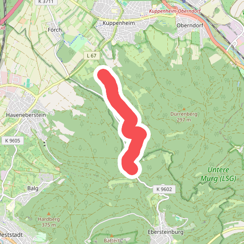 Schmetterling - Spechter Kopf