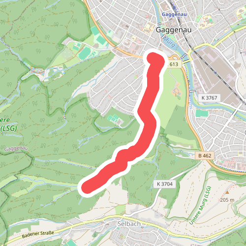 Gaggenau - Höllbach