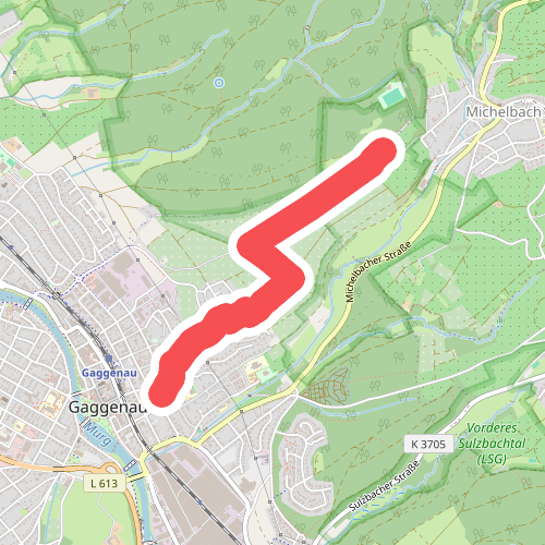 Gaggenau Goethegymnasium - Große Eiche