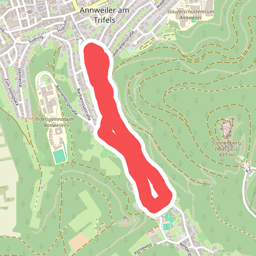Annweiler Nordic Walking 1