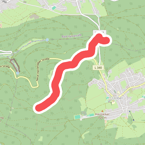 Katzenweg - Brenntenwald Hütte
