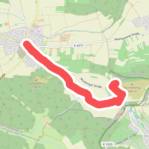 Neuhausen Rathaus - Büchelberg West