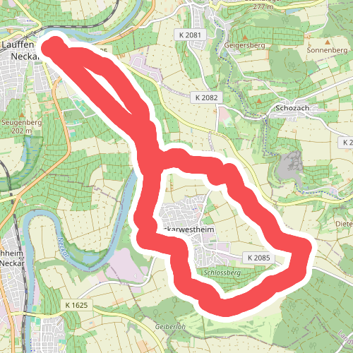 N2 Von der Neckarburg zum Liebensteiner Schlossberg