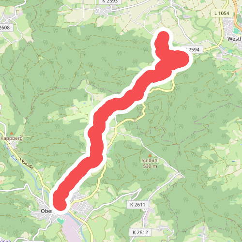 Querweg des SAV (blauer Punkt)