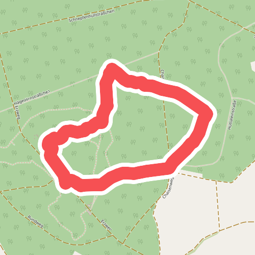 Naturentdeckungsreise Walderlebniszentrum Schernfeld