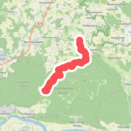 O 16 Unterlichtenwald - Altenthann (Grünes Dreieck)