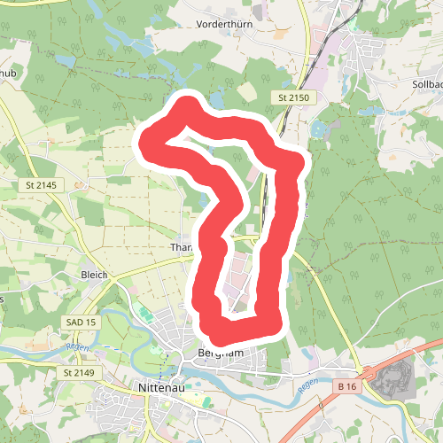 Wilder Mann 008, Naturpark Vorderer Bayerischer Wald