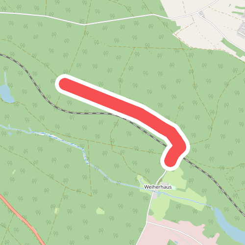 Wilder Mann 058, Naturpark Vorderer Bayerischer Wald