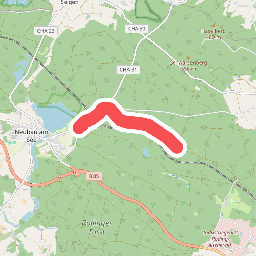 Wilder Mann 061, Naturpark Vorderer Bayerischer Wald