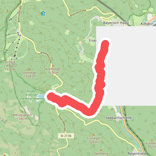 8 Bayerisch Eisenstein - Großer Arbersee