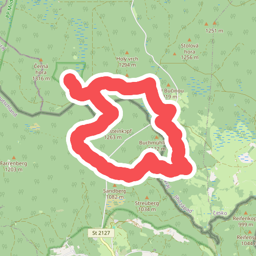 Marder - Blickwinkel ohne Grenzen